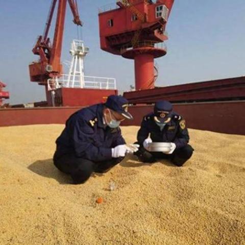 《多重人生种田攻略：高效种田技巧揭秘》