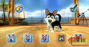 《热门宠物游戏盘点：盘点最受欢迎的宠物游戏排行》