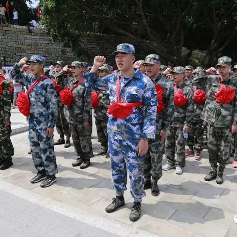 《保卫萝卜4饿龙传说53关攻略：轻松通关秘籍》