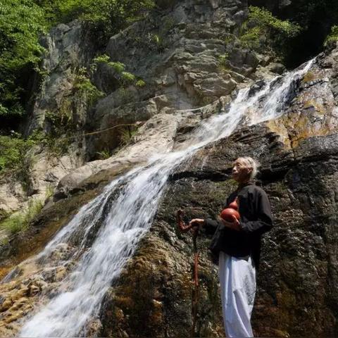 肝仙归来属性分配攻略：高效提升战力秘籍