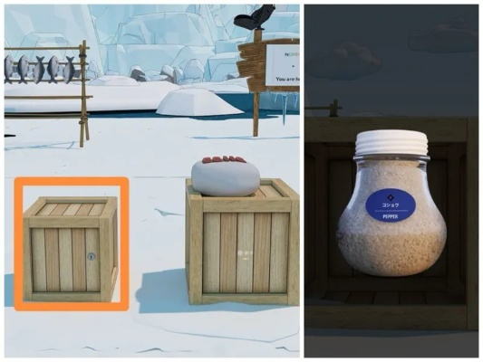 四季逃脱大揭秘：Escape Room全攻略秘籍