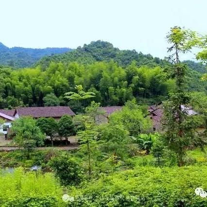 解忧小村落独家菜谱大揭秘！