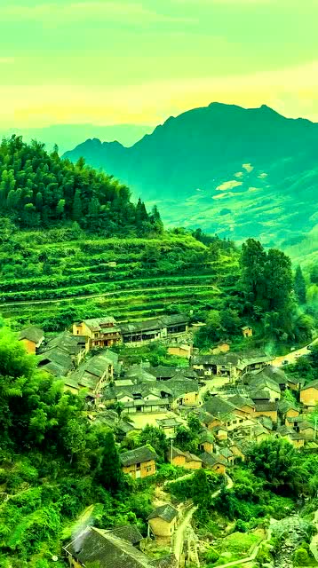 《解忧小村落种树攻略：轻松上手，绿意盎然》