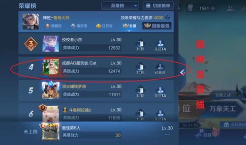 《新手必看！离火之境避坑攻略，轻松升级无烦恼》