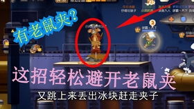 《新手必看！离火之境避坑攻略，轻松升级无烦恼》