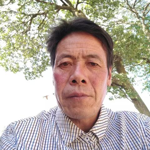 太空鹅鸭杀食鸟鸭攻略：角色玩法深度解析