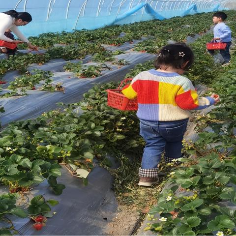 《热力种田榜！2023最新十大人气种田游戏盘点》
《种田游戏新潮流！2023人气排行前十大游戏揭晓》
《种田控必看！2023最新热门种田游戏排行榜前十》
《种田游戏哪家强？2023人气排行前十游戏推荐》
《2023种田游戏巅峰对决！人气排行榜前十揭晓》