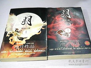 《明末奇珍：渊虚之羽赤玉酒瓶揭秘》