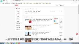 猫咪公寓2好感度快速提升技巧，攻略揭秘！