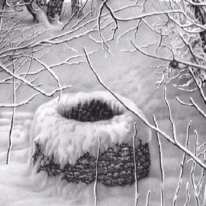 《暖雪大师皮肤攻略：独家解锁技巧揭秘》