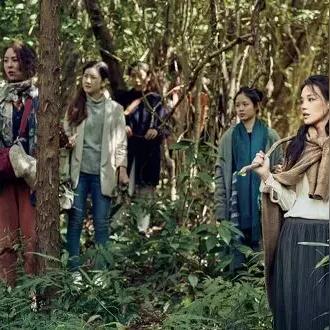 咸鱼之王6000关前推图阵容攻略！必备阵容推荐