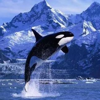 《明日守望者兑换码攻略：激活礼包秘籍大公开》