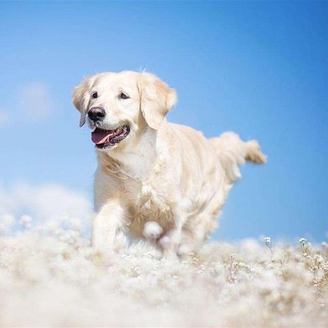 《十大热门社交游戏盘点：揭秘最受欢迎的互动游戏》