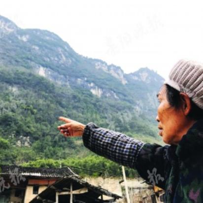 梦幻西游手游悬崖采药奇遇选择攻略：高效奇遇路线揭秘