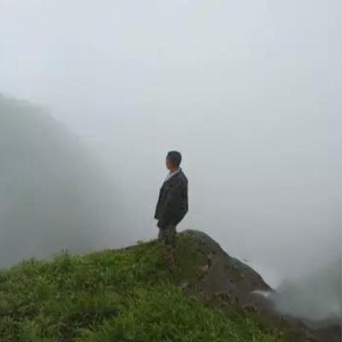 梦幻西游手游悬崖采药奇遇选择攻略：高效奇遇路线揭秘