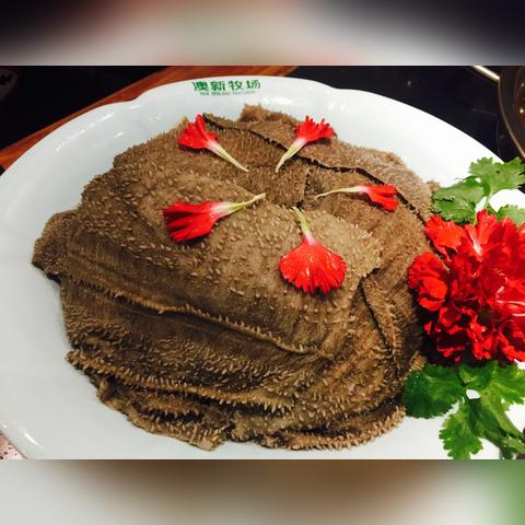 外国游戏盘点：热门必玩人气榜