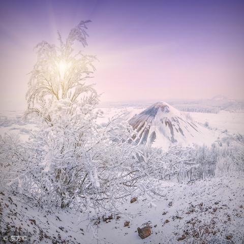 《朔风飞雪支线攻略：烟雨江湖独家秘籍》