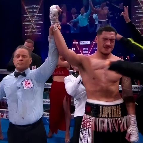 《拳坛巅峰！盘点十大必玩拳击游戏排行》