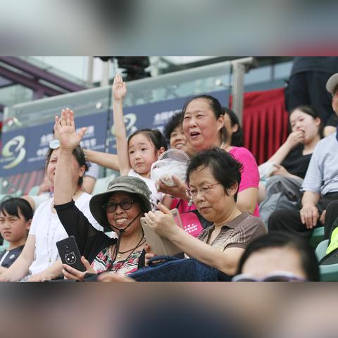 热辣盘点！马匹游戏十大热门排行，哪款才是你的心头好？