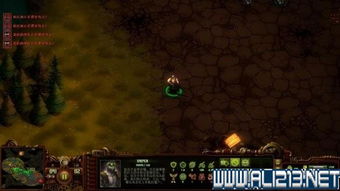 《新手必看！僵尸游戏攻略全解析》