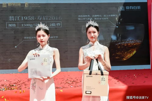 《揭秘！社交游戏排行榜前十，十大经典之作盘点》