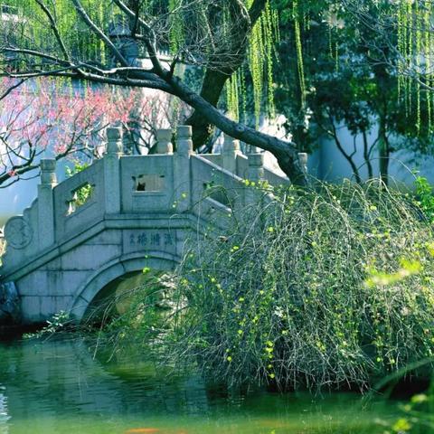 水乡芳华录新手必看：居民选择与元宝高效使用攻略