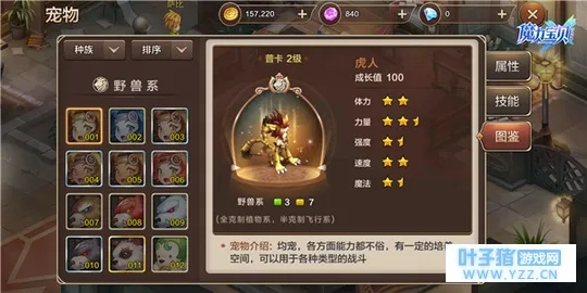 勇者宠物选择攻略：揭秘最佳搭配技巧