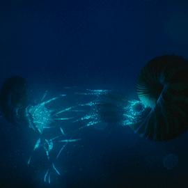 《怪兽星球2召唤攻略：轻松入侵技巧揭秘》