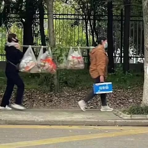 热力推荐！自行车游戏盘点：盘点最热门自行车游戏排行榜