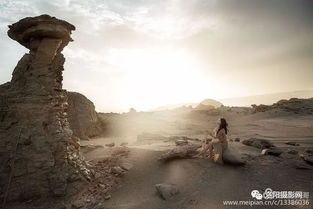 《温弗雷多遗迹探秘：拍照圣地大揭秘》