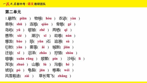 《破解汉字奀谜题攻略：14字轻松过关》