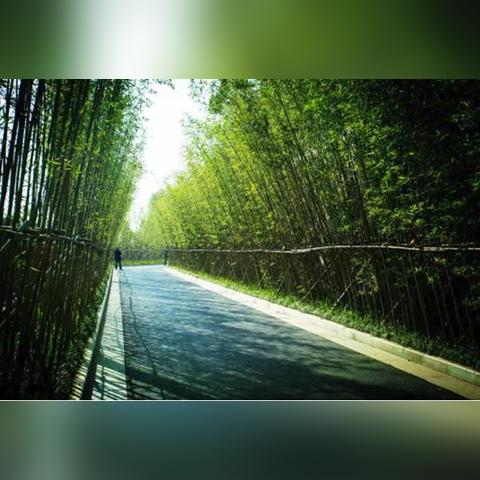 《桃源记2》新手必看！最强入门攻略全解析