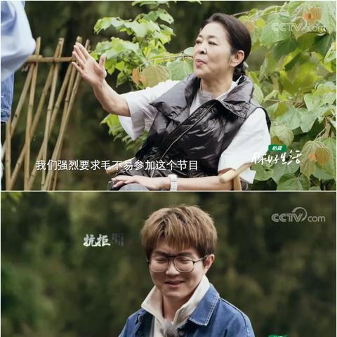 《诛仙2黄金满堂彩奇遇攻略：轻松解锁中原秘境》