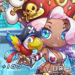 龙魂旅人小光龙神器搭配攻略：最强组合曝光