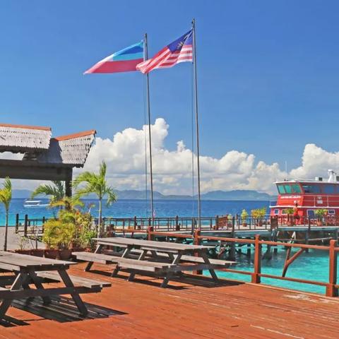 《海龟蘑菇汤攻略：轻松通关，工作日常变精彩》