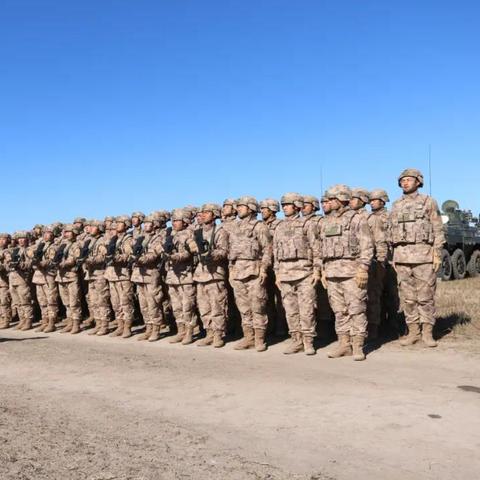 真香收纳摊荒漠屠夫通关秘籍！高效攻略助你一臂之力