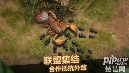 小小蚁国联盟工资攻略：快速获取方法揭秘