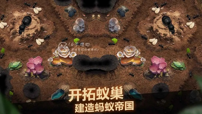 小小蚁国资源快速获取攻略：高效方法一览