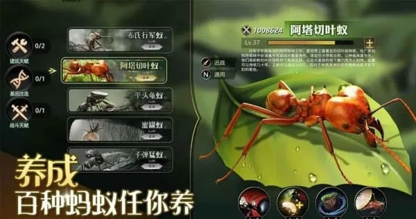 小小蚁国兵蚁养成攻略：高效培育技巧揭秘