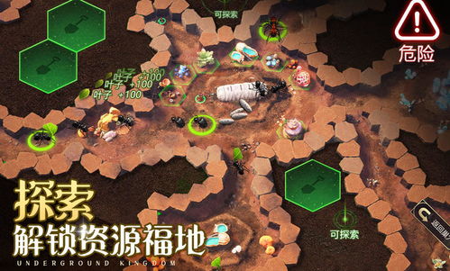 小小蚁国未知区域解锁攻略：揭秘隐藏地图！
