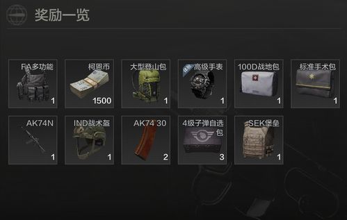 《暗区突围快速模式攻略：高效玩法揭秘》