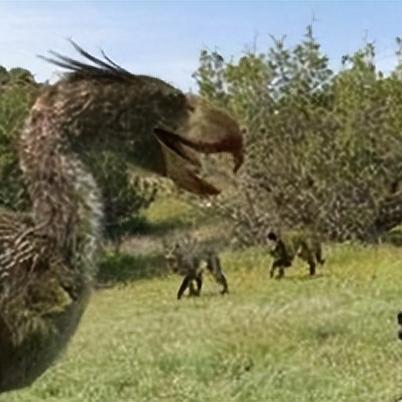 《狩猎时刻宠物蛋孵化攻略：快速孵化技巧揭秘》