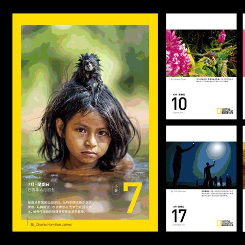 《狩猎时刻宠物蛋孵化攻略：快速孵化技巧揭秘》