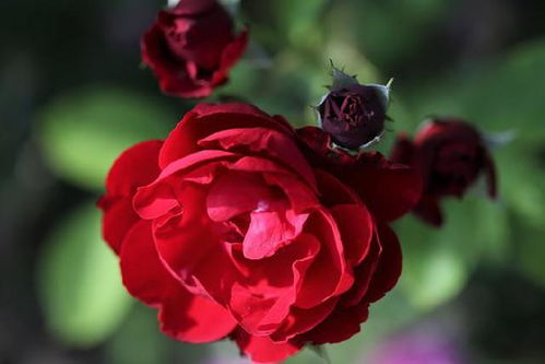 《十大自动化游戏盘点：最耐玩，玩家必玩！》
《自动模式巅峰！盘点十大耐玩游戏排行》
《探索自动游戏乐趣：十大耐玩游戏推荐》
《自动游戏控必看！盘点十大最受欢迎耐玩游戏》
《轻松游戏新体验：十大耐玩自动化游戏推荐》