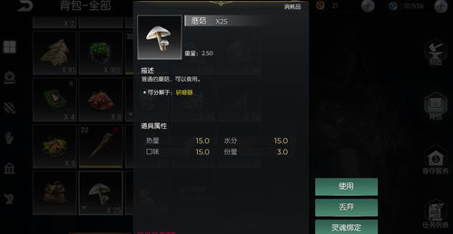 《暗黑不朽自动拾取开启攻略：轻松设置，告别手动拾取》