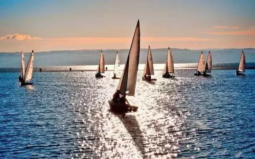 帆船游戏盘点：热门好玩的帆船游戏推荐