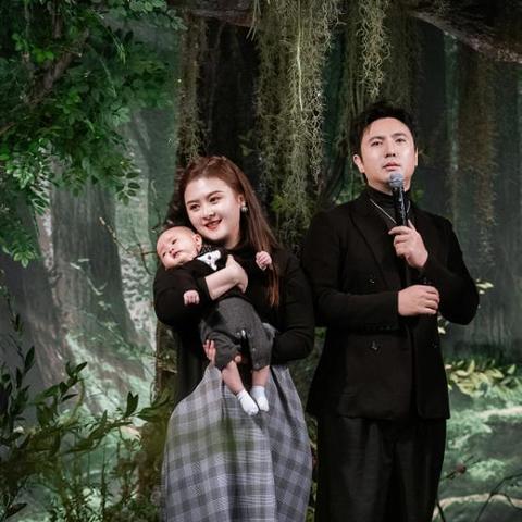 《老婆大战胖僵尸平民阵容攻略：最强搭配揭秘》