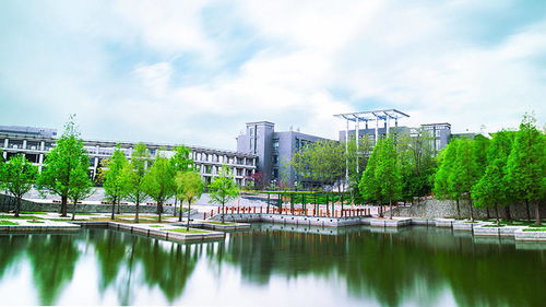 《大东家西天取经攻略：独家玩法揭秘》