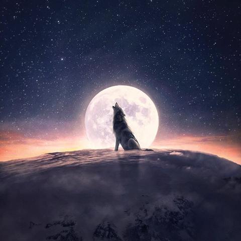 黑暗游戏盘点：揭秘最受欢迎的暗黑榜单