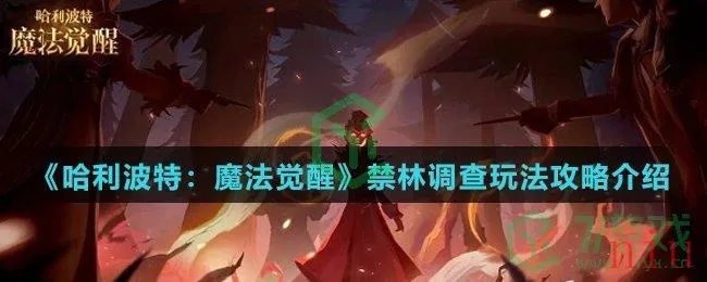 哈利波特禁林探险攻略：深度玩法揭秘